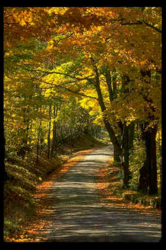 trail